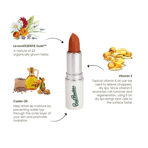 organic lip gloss india