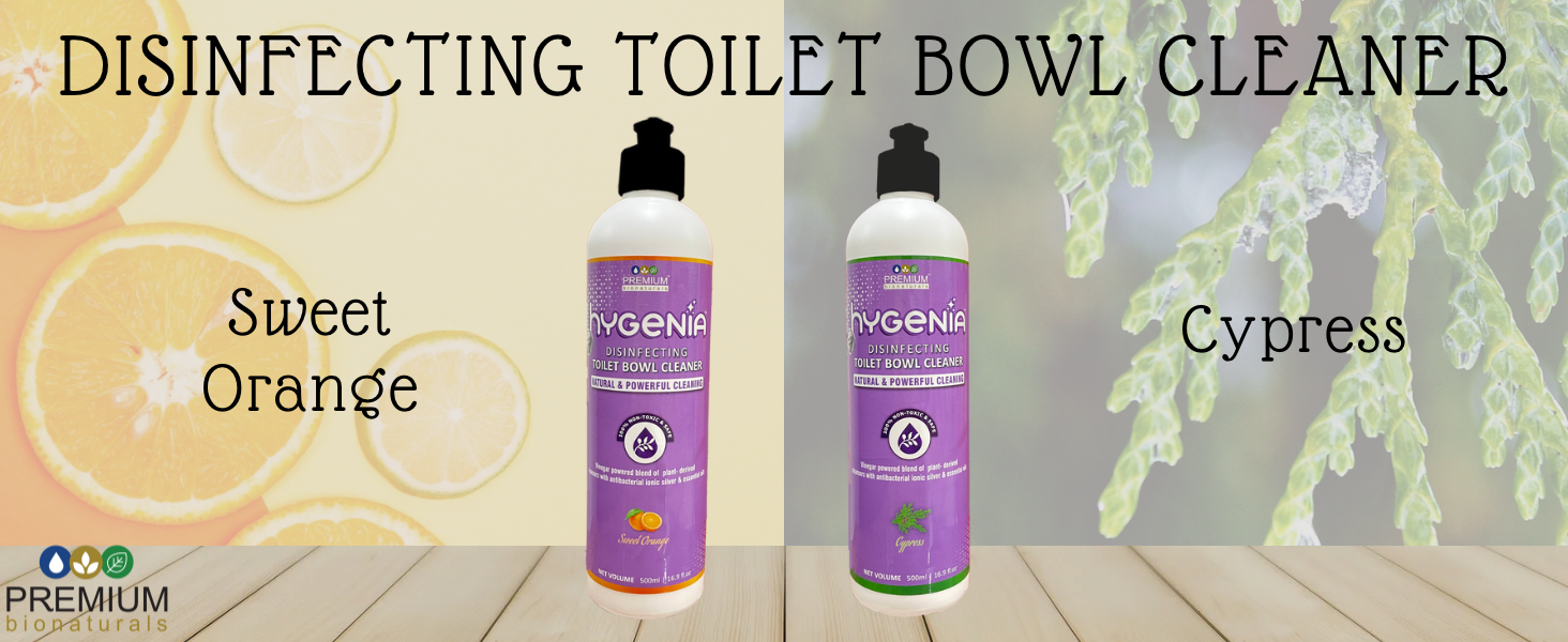 Hygenia Disinfecting Toilet Bowl Cleaner 