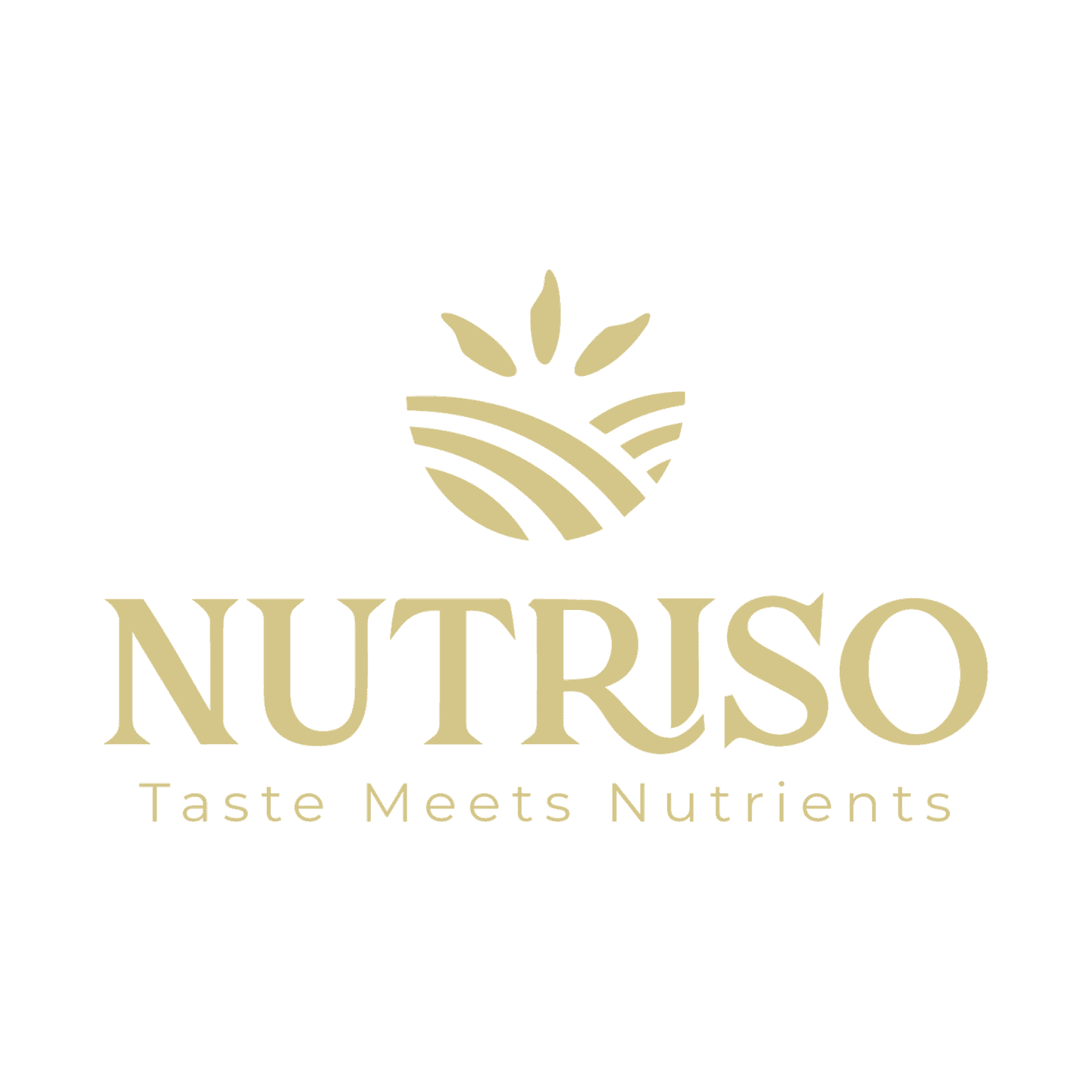 Nutriso Logo