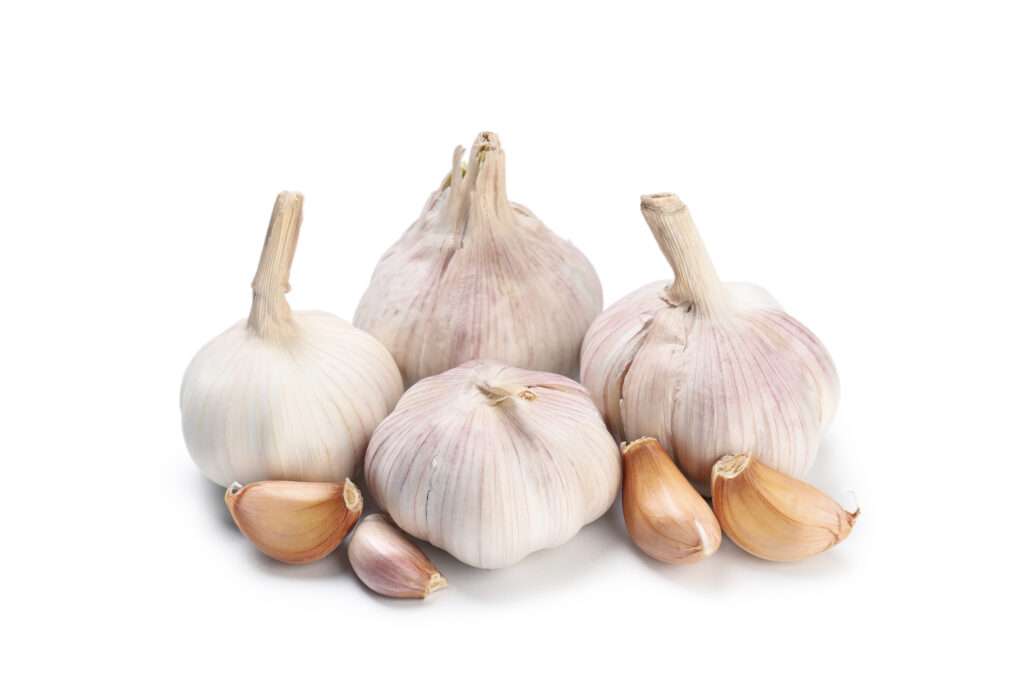 Veganism Garlic