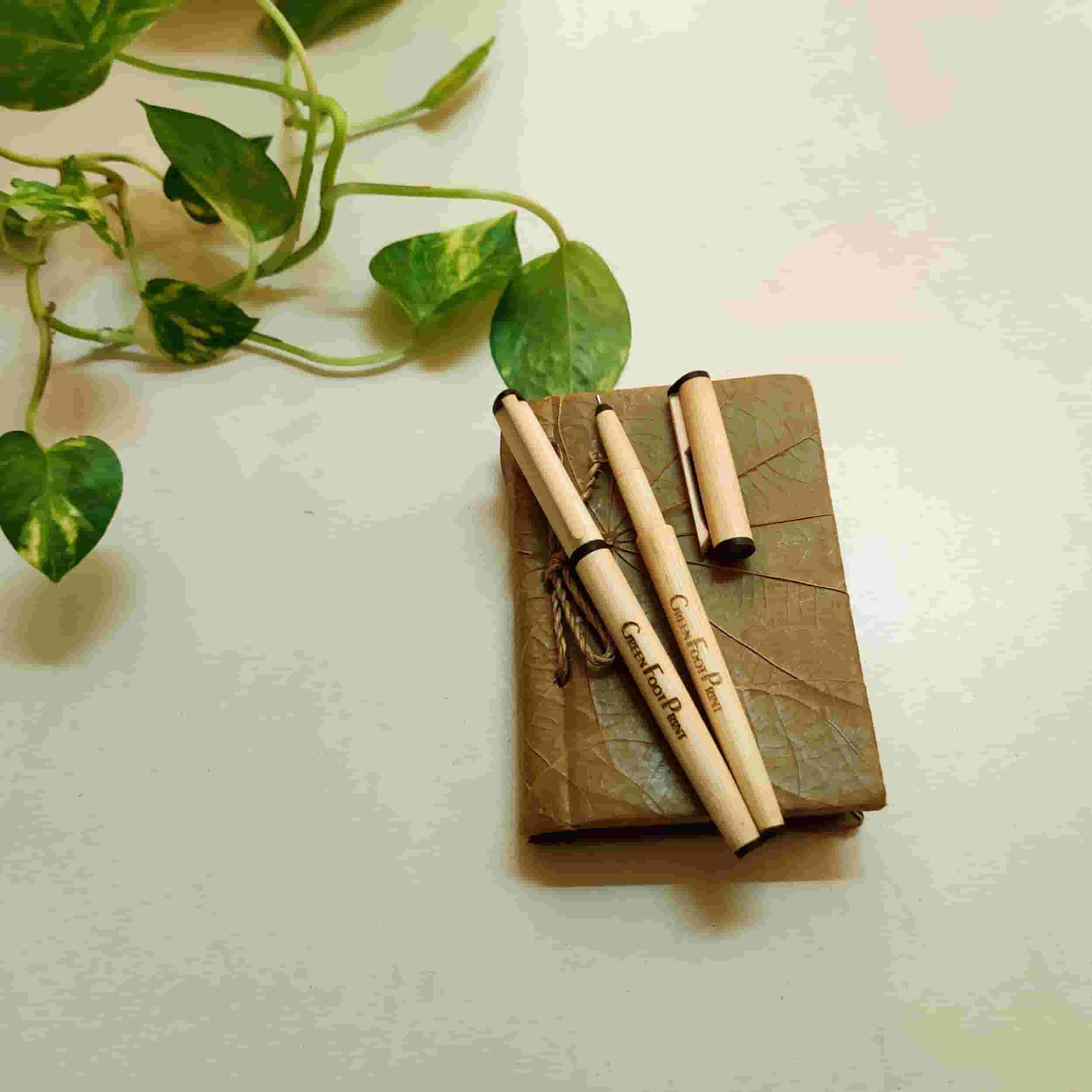 Bamboo pens