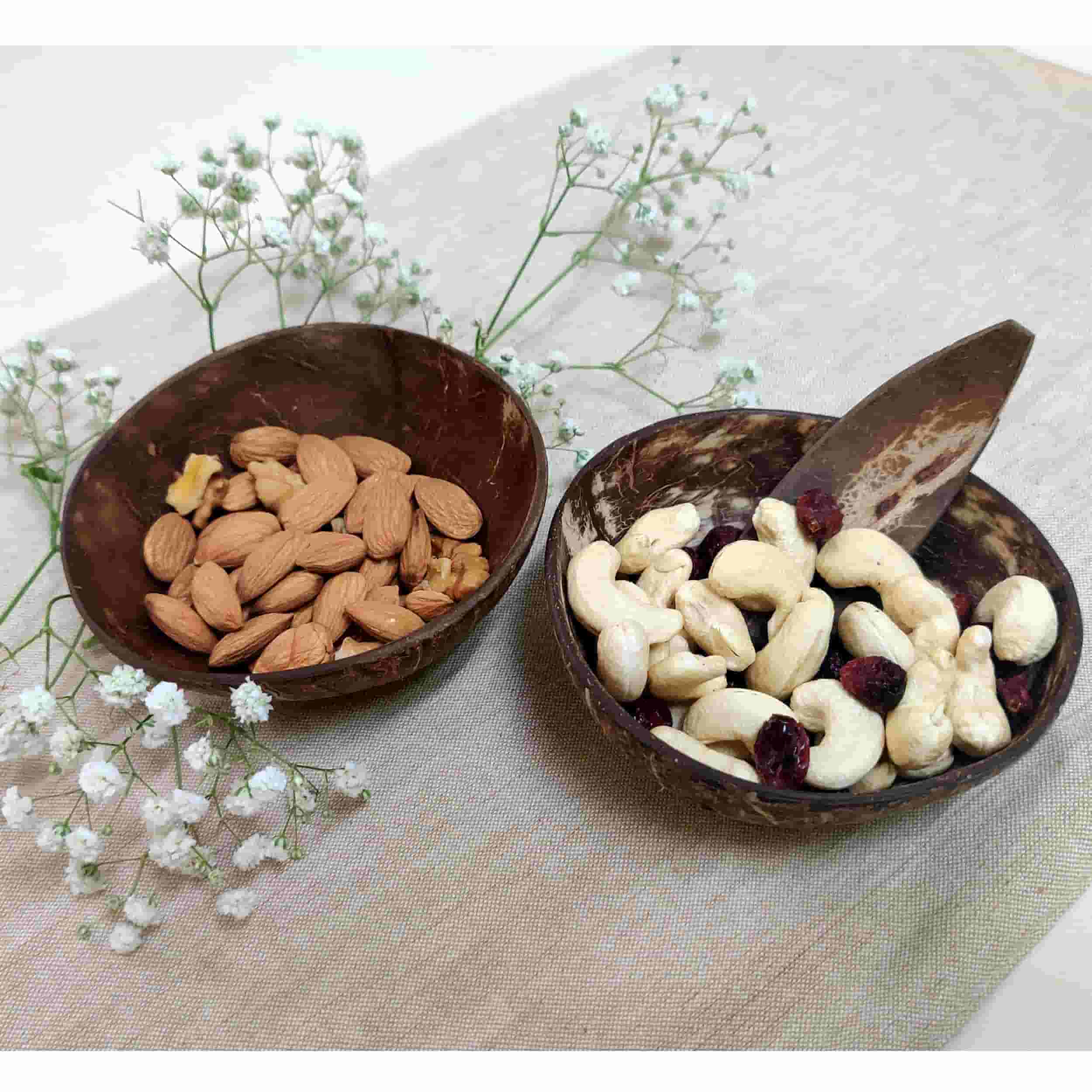 Coconut Shell Small Snack Bowls 