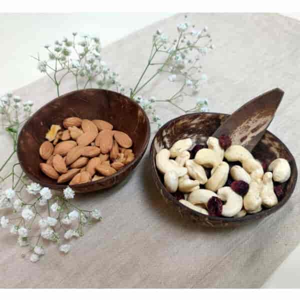 Coconut Shell Small Snack Bowl 1