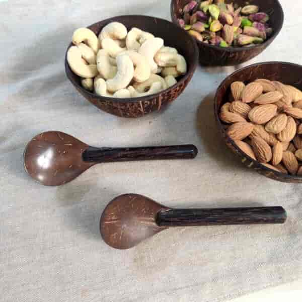 Coconut Shell Spoons 1