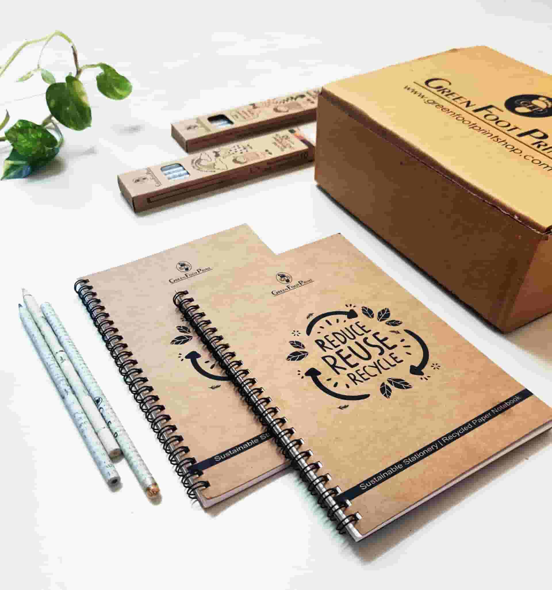 Recycled Paper Note Books, Paper Colour Pencils And Seed Pencils Kit 