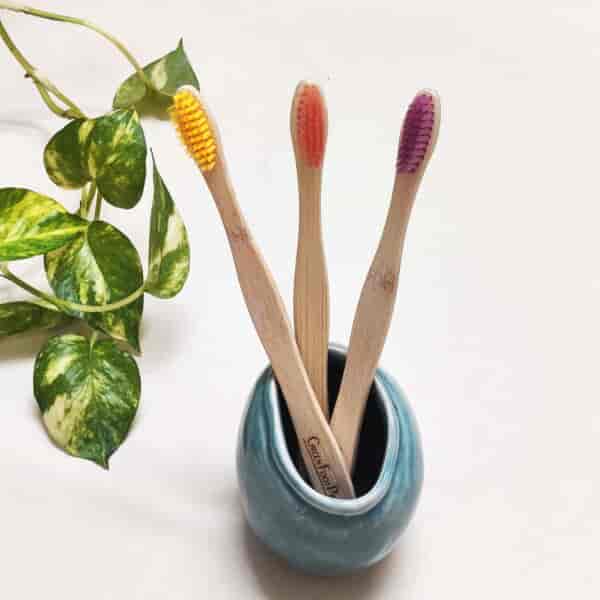 Natural Bamboo Toothbrush (Assorted)