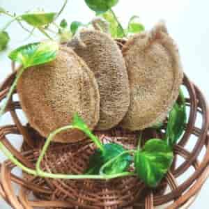 Natural Plant based loofah _ Bathing sponge 2