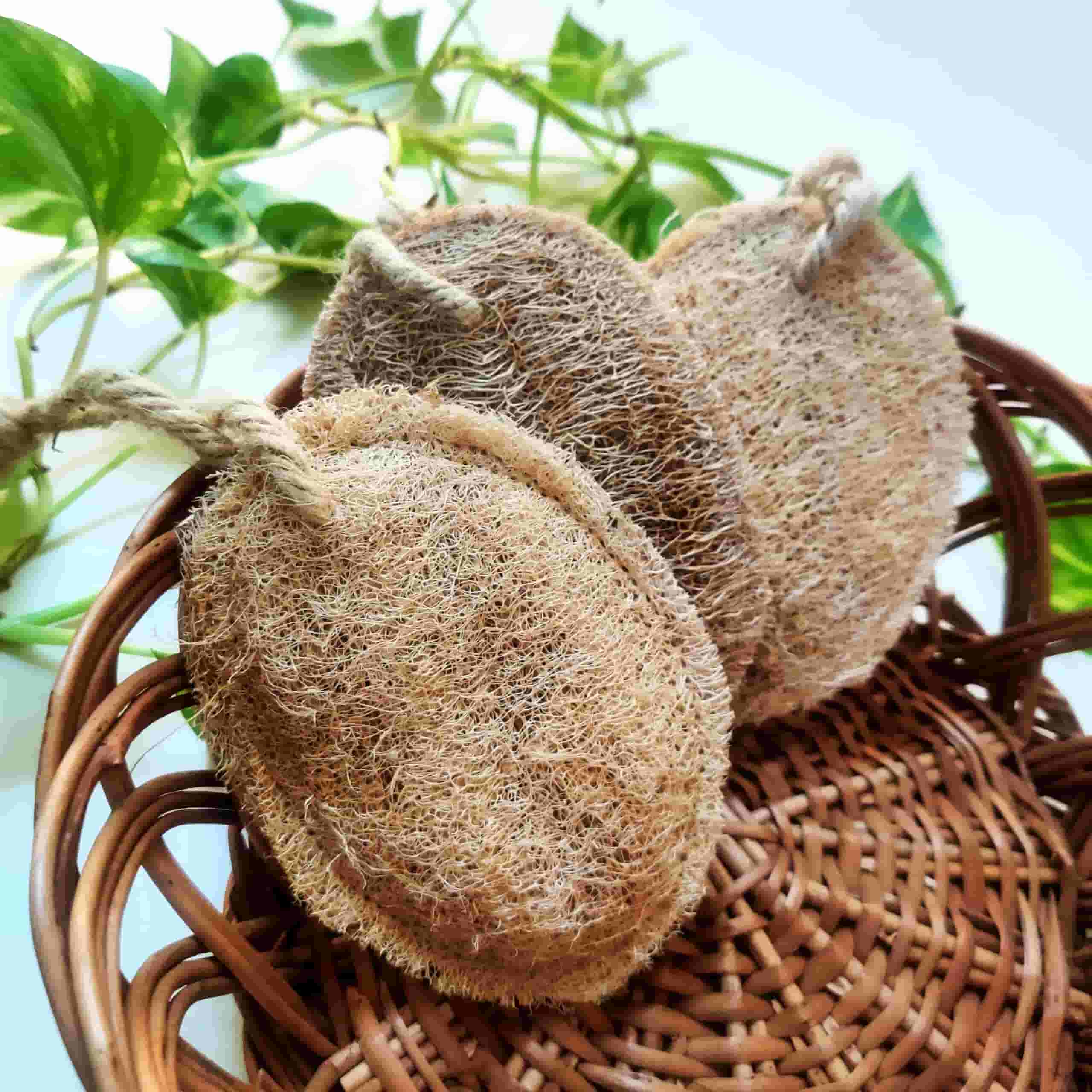 Natural Plant based loofah | Bathing sponge 