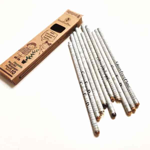 Plantable Recycled News paper Seed Pencils 3