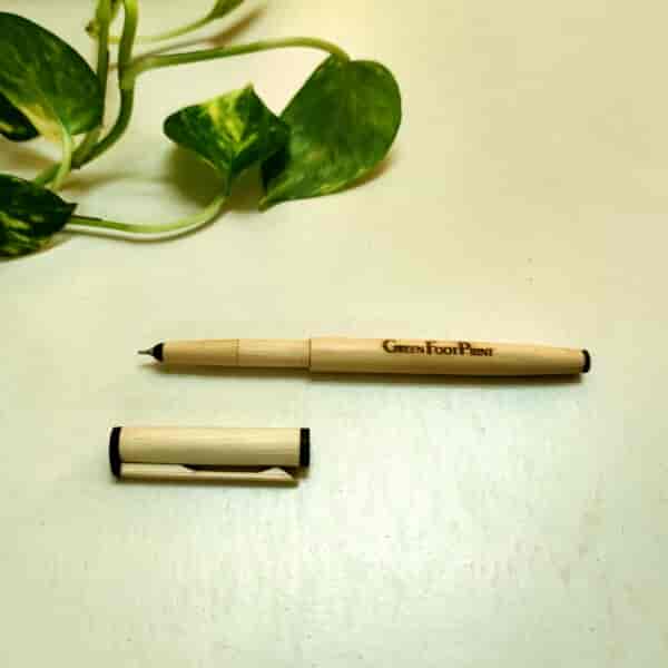 bamboo pen 2
