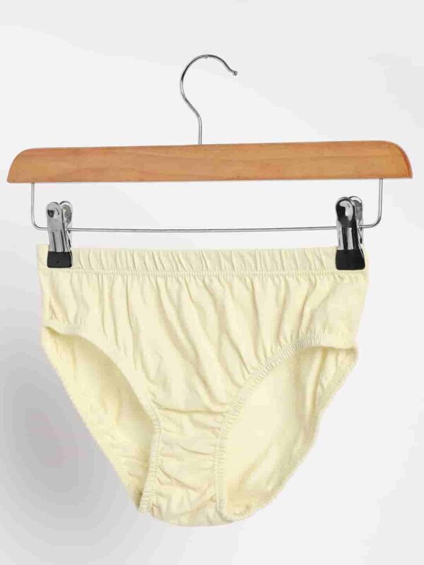 Organic Cotton & Natural Dyed Rust Cream and Turmeric Yellow Combo Underwear - Pack of 2
