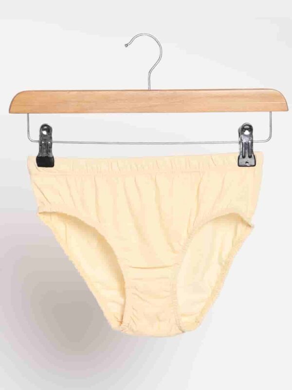 LBWUC 01 2 Organic Cotton Natural Dyed Rust Cream and Turmeric Yellow Combo Underwear Pack of 2 3