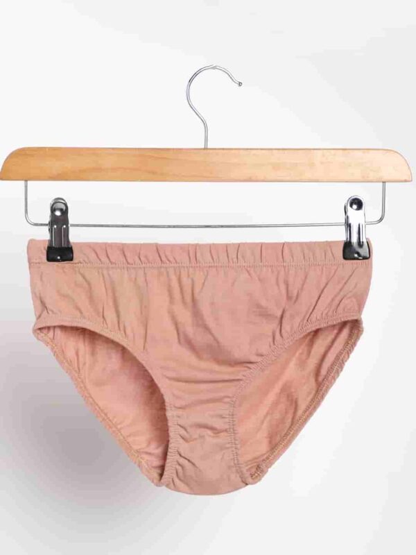 LBWUC 02 1 Organic Cotton Naturally Dyed Womens Rose Pink Soil Brown Combo Underwear Pack of 2 4