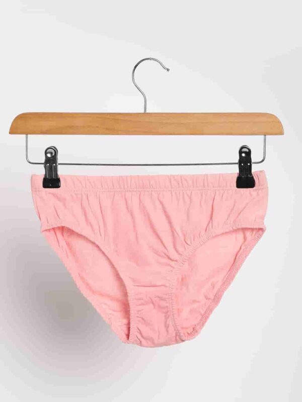 LBWUC 02 2 Organic Cotton Naturally Dyed Womens Rose Pink Soil Brown Combo Underwear Pack of 2 3